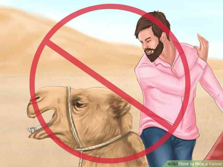 Image intitulée Balade à dos de Chameau Étape 10
